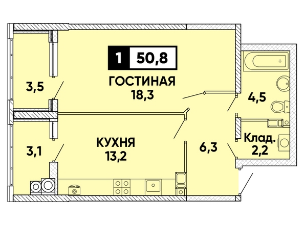 Планировка 1-комн 50,8 м²