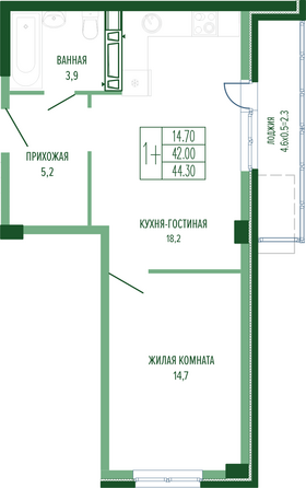 Планировка 1-комн 44,3 м²