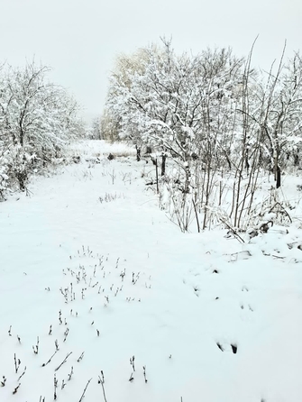 
  Продам  участок ИЖС, 18 соток, Гавердовский

. Фото 2.