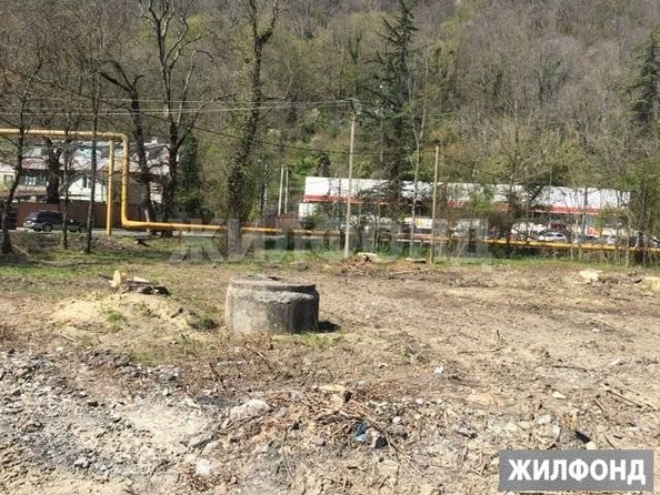 
  Продам  дачный участок Сочи

. Фото 1.