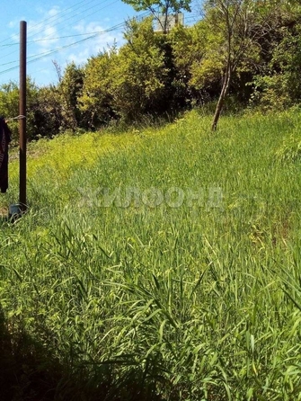 
  Продам  дачный участок Горное Лоо

. Фото 1.
