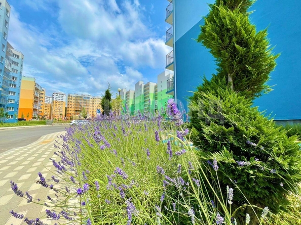 
   Продам 2-комнатную, 58 м², Тепличная ул, 71 к4

. Фото 1.