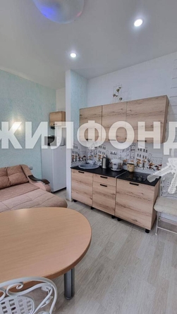 
   Продам 1-комнатную, 24.5 м², Виноградная ул, 219

. Фото 11.