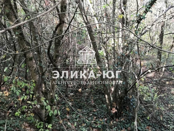 
  Продается земельный участок, 27 соток, село Вольное
. Фото 12.