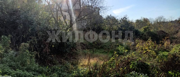 
  Продам  дачный участок Орел-Изумруд

. Фото 1.
