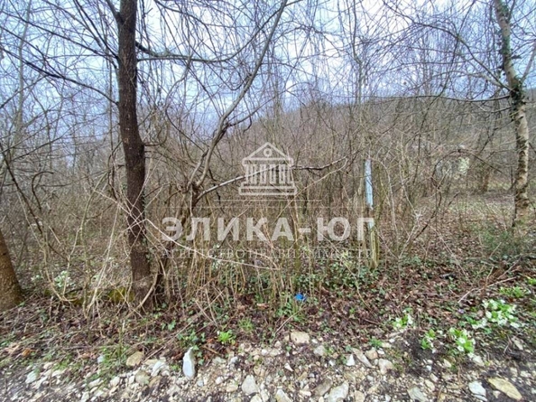 
  Продам  дачный участок, 5 соток, Тенгинка

. Фото 2.