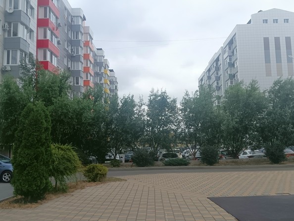 
   Продам 1-комнатную, 45 м², Парковая ул, 64

. Фото 21.