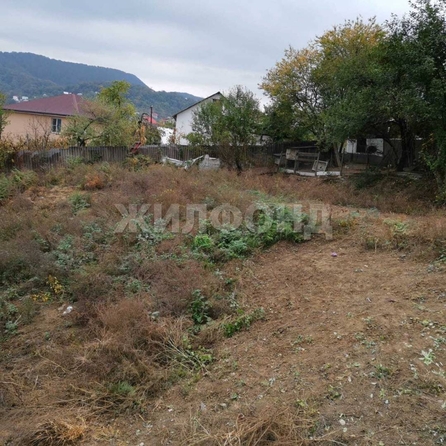 
  Продам  дачный участок Сочи

. Фото 1.