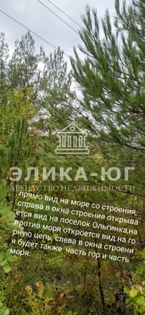 
  Продам  участок ИЖС, 91 соток, Ольгинка

. Фото 6.
