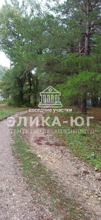 
  Продается земельный участок, 91 сотка, село Ольгинка
. Фото 5.
