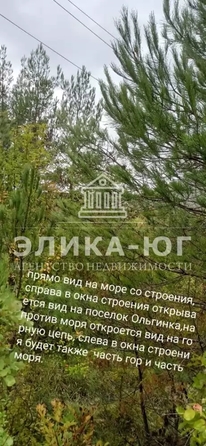 
  Продается земельный участок 91 сотка. Фото 6.
