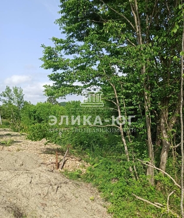 
  Продается земельный участок, 8 соток, село Бжид
. Фото 3.