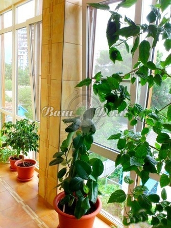 
  Продается 3-комн. квартира 210 м². Фото 6.