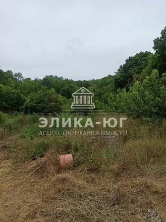 
  Продается земельный участок 31 сотка. Фото 4.