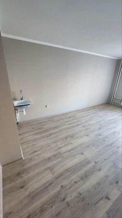 
   Продам 1-комнатную, 42 м², Ленина ул, 237

. Фото 3.