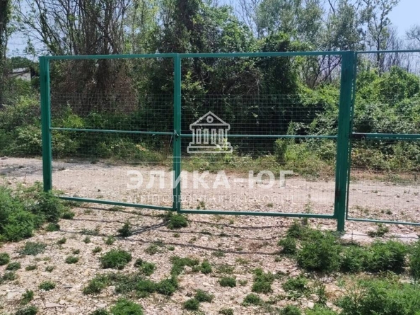 
  Продается готовый бизнес 60 м². Фото 6.