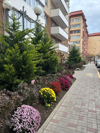 
   Продам 2-комнатную, 57 м², Владимирская ул, 148к1

. Фото 2.