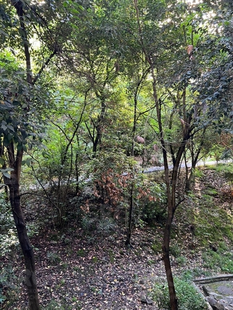 
  Продается 3-комн. квартира 72 м². Фото 18.