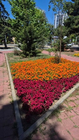
  Продается 2-комн. квартира, 45 м², Протапова ул
. Фото 2.