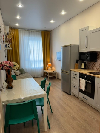 
   Продам 1-комнатный апартамент, 45 м², Пионерский пр-кт, 57к2

. Фото 15.