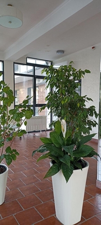 
  Продается 4-комн. квартира 130 м². Фото 37.