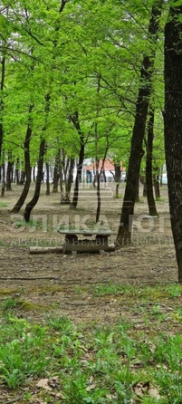 
  Продается земельный участок, 80 соток, село Лермонтово
. Фото 7.
