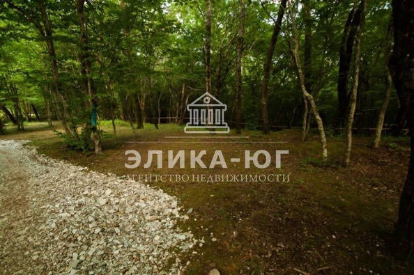 
  Продается земельный участок, 80 соток, село Лермонтово
. Фото 11.