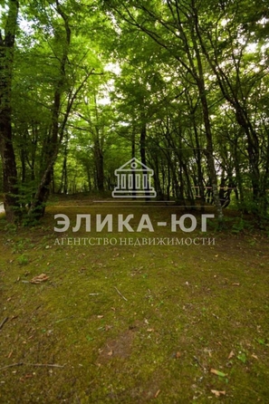 
  Продается земельный участок, 80 соток, село Лермонтово
. Фото 16.