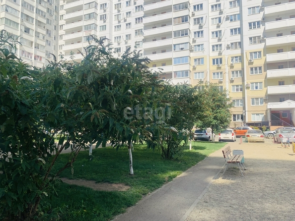 
   Продам 1-комнатную, 35.1 м², Котлярова Н.С. ул, 17

. Фото 42.