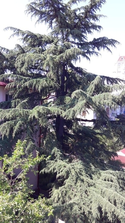 
  Продается 1-комн. квартира 35 м². Фото 7.