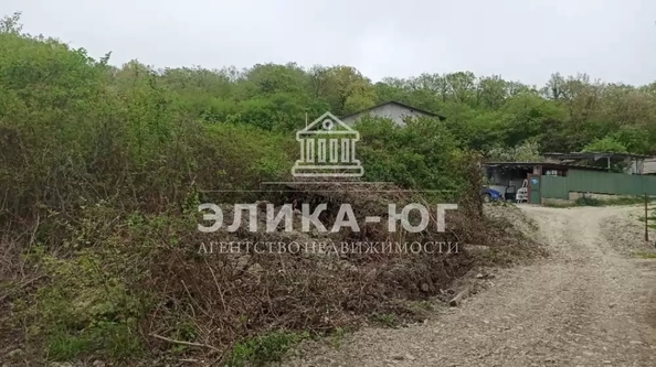 
  Продается земельный участок 7 соток. Фото 5.