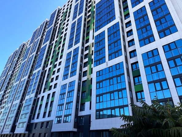 
   Продам 1-комнатную, 32.3 м², Ф.Я. Бурсака (Цемдолина тер.) ул, 82

. Фото 2.