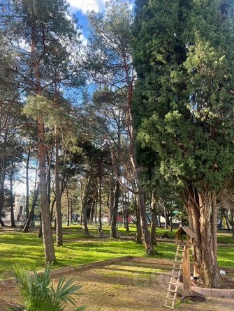 
  Продается апартамент, 21.2 м², Ленина ул, д. 219
. Фото 25.