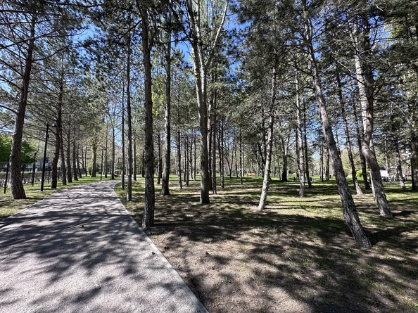 
  Продается студия, 23 м², Пионерский пр-кт, д. 20
. Фото 25.