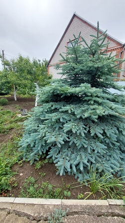 
  Продается дом, 250 м², станица Анапская
. Фото 42.