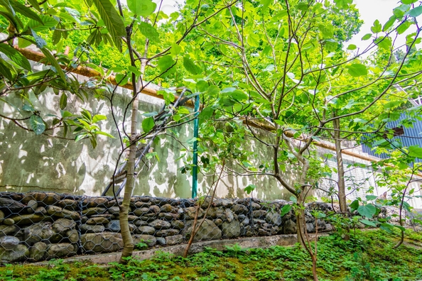 
  Продается коттедж, 320 м², Сочи
. Фото 29.