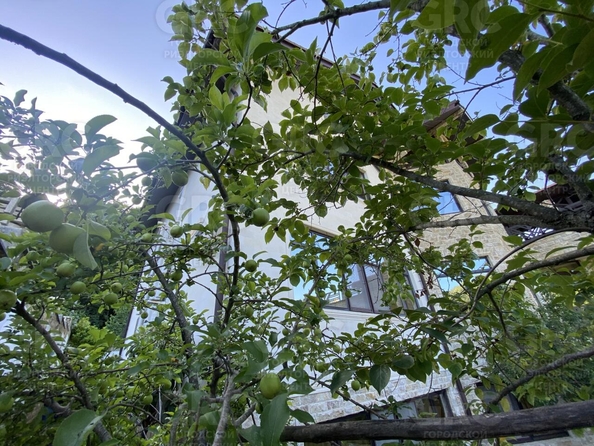 
  Продается дом 500 м². Фото 61.