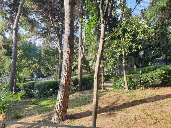 
  Продается апартамент, 23 м², Курортный пр-кт, д. 70
. Фото 11.