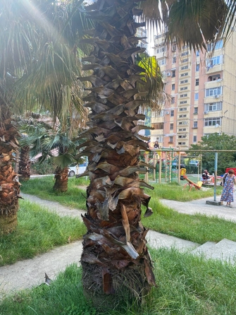 
  Продается 2-комн. квартира, 63 м², Батумское шоссе ул, д. 67
. Фото 25.