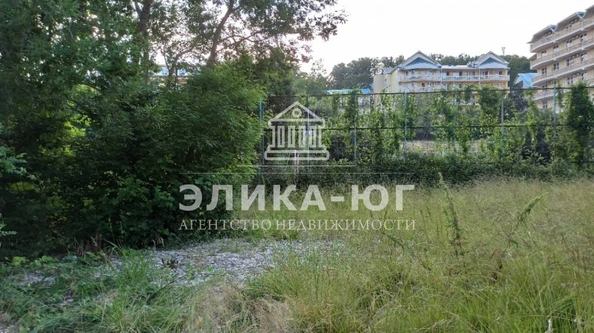 
  Продается земельный участок, 6 соток, село Пляхо
. Фото 1.