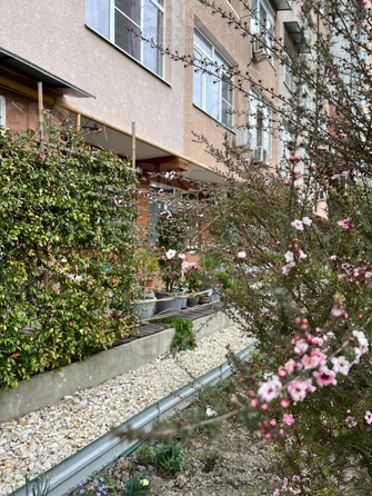 
  Продается студия, 32.2 м², Клубничная ул, д. 54
. Фото 3.