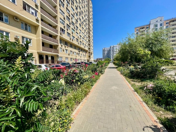 
  Продается студия, 27 м², Владимирская ул, д. 108к2
. Фото 23.