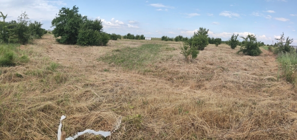 
  Продам земельный участок, 90 соток, станица Полтавская
. Фото 8.