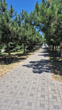 
  Продается 1-комн. квартира, 29 м², Терская ул, д. 39
. Фото 11.