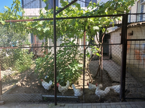 
  Продается дом, 75 м², станица Анапская
. Фото 26.