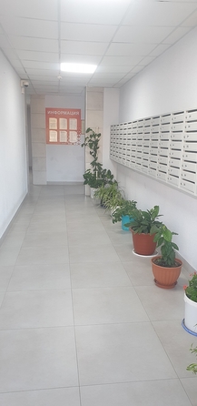 
  Продается студия, 26 м², Владимирская ул, д. 154к4
. Фото 2.