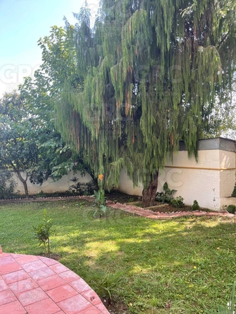 
  Продается дом, 335 м², Сочи
. Фото 6.