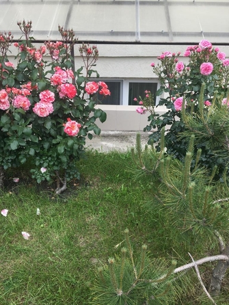 
  Продается апартамент, 32 м², Ленина ул, д. 195
. Фото 15.