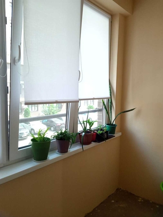 
  Продается 1-комн. квартира, 36 м², Ленина ул, д. 180Ак11
. Фото 1.