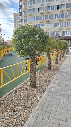 
  Продается студия, 26 м², Рождественская ул, д. 55к1
. Фото 15.